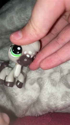 So cute!!!!! #lps #funny