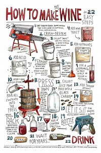 Wine Making