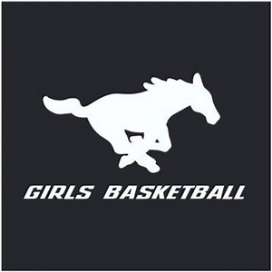 Mount Vernon Varsity Girls Basketball • Home