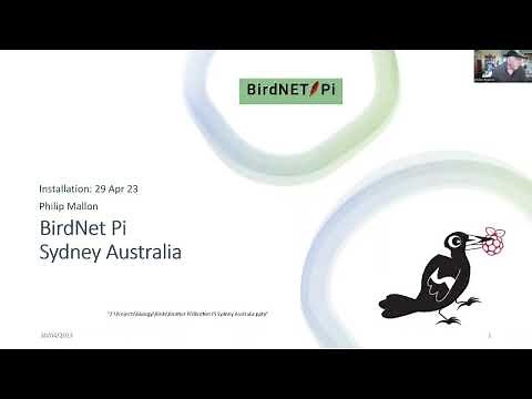 BirdNet Pi - our first results