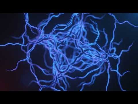 AI and its Hallucination Effects