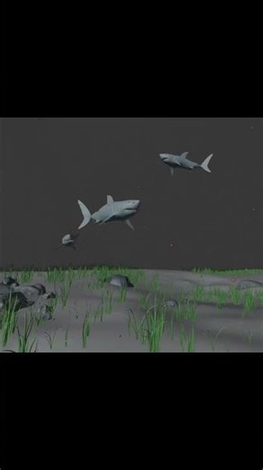 Sharks in Blender! #b3d