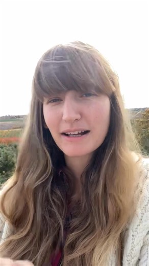 4.6K views · 101 reactions | Organic fabric update! New prints on the way. On sale - select patterns for a limited time. Up to 25% off. SHOP: https://www.azurestandard.com/shop/search/fabric?tag=on-sale&brand=Azure%20Market | Azure Standard | Facebook