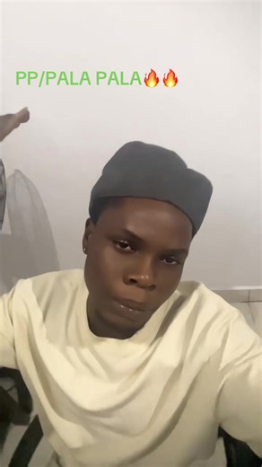 Exploring the Energy of PALA PALA with PHYNO and Friends