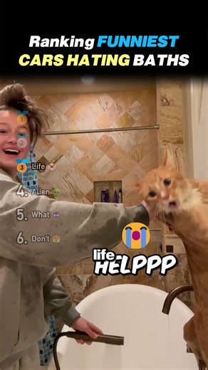 Ranking FUNNIEST CATS HATING BATHS Core Moments!! 🛁🐱