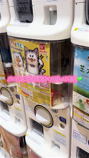 メロとタビのガチャ回してきた｜6回でコンプリートしたよ