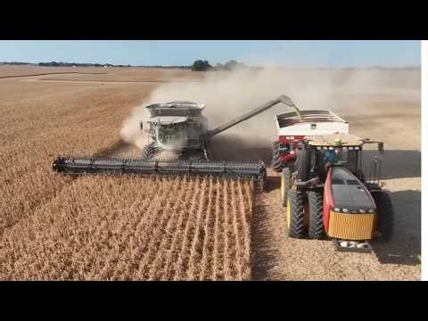 Ohio Soybean Harvest 2025 | Powerful Gleaner Combines in Action
