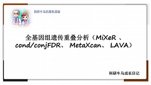 全基因组遗传重叠分析（MiXeR 、cond/conjFDR、 MetaXcan、 LAVA）