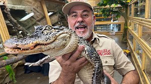 6.4K views · 81 reactions | In today’s video, we’re feeding a wild...