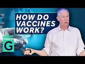 How Do Vaccines Work? - Robin May