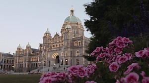 103K views · 27 reactions | Victoria Clipper ferry + easy scenic getaway? Rich culture, amazing food, stunning views and fun exploration awaits. Tag a travel buddy and book your escape to vibrant Victoria, BC! | FRS Clipper | Facebook