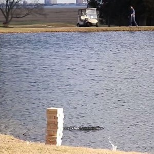 2.4K views · 23 reactions | The skip Giant Jenga shot!  Via: @holein1trickshots | SwingU | Facebook