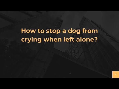 How to stop a dog from crying when left alone?