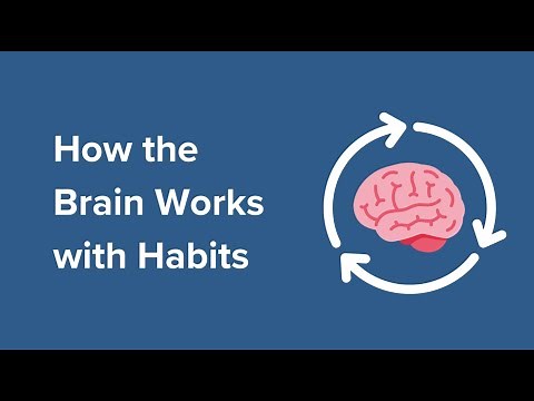 How the Brain Works with Habits