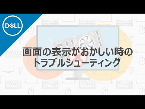 What to do if noise such as dots or squares appears on the screen