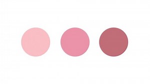 Chart Template Infographic 3 Circles Layout Stock Footage Video (100% Royalty-free) 1104062153 | Shutterstock