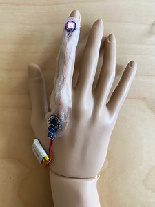 Lab 5: Skin Sew — Hybrid Body Lab