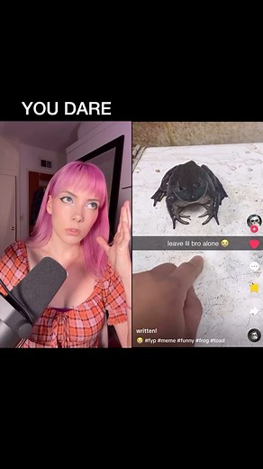 Meredith Bull on Instagram: "QUIT BOOPING THE DAMN FROG "