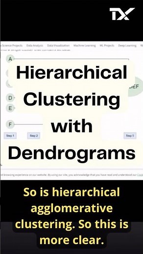 Hierarchical Clustering Explained: Dendrograms for Data Grouping & Cluster Count TechX Data Science