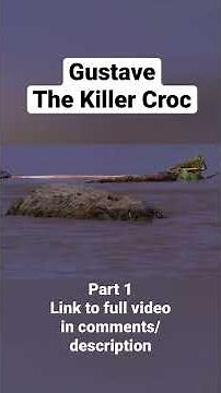 Gustave: The Killer Croc