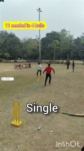16 runs challenge #cricket #cricketlover #cricketshorts #funny #backyardcricket