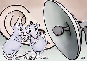 'DeepSqueak' helps researchers decode rodent chatter - UW Medicine - Newsroom