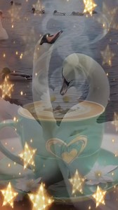 39K views · 699 reactions | Lida Moshinskaya on Reels | Facebook