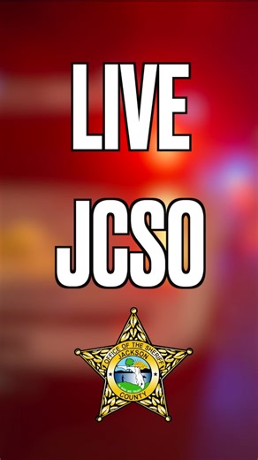 38K views · 484 reactions | Do you ever wonder what it's like to be...