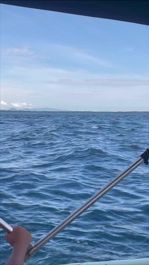 Fishing Time Pedasi 📍🇵🇦 ℹ️Estamos ofreciendo el mejor paquete para la temporada de ballenas no te lo pierdas y cotiza con nosotros!!🐳🏝️😍🤍🤿☀️🌴 📲CONTACTANOS PARA MÁS INFO. 📞 507 6946-6675 📩 yaneced08@gmail.com 📍🇵🇦🙏🏼 #ballenas #islaiguana #pedasi #playavenao #delfines #tiempodepesca #buenasvibras♥ #actitudpositiva #tour #islatour #ballenas #sirenas #tortugas #ɢᴏᴏᴅᴠɪʙᴇs #naovenao #beach #sunday ☀️