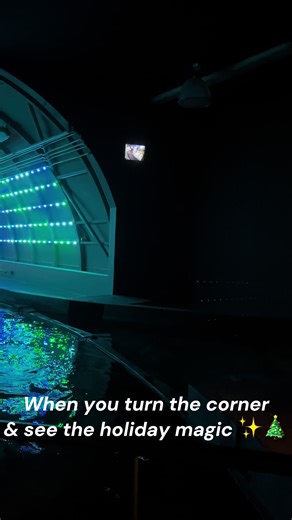 Magical Disney Holiday Adventure at Epcot