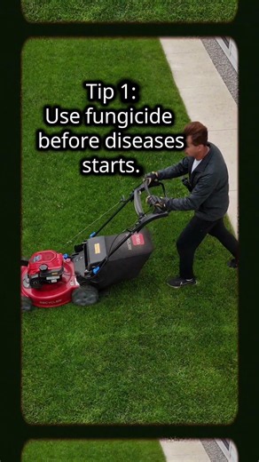 How to Fungus Prevention 🍄 – Simple Lawn Care Tips for Homeowners #PreventiveFungicide #WetCondition