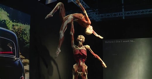 ‘BODY WORLD' exhibit at Science Museum of Virginia explores mind-body connection to happiness