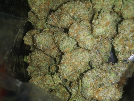Banana Cream | Marijuana Strain Reviews
