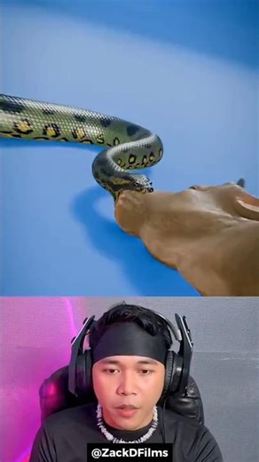 This is the Unique Way Animals Eat Bigger Animals 😱 #shorts