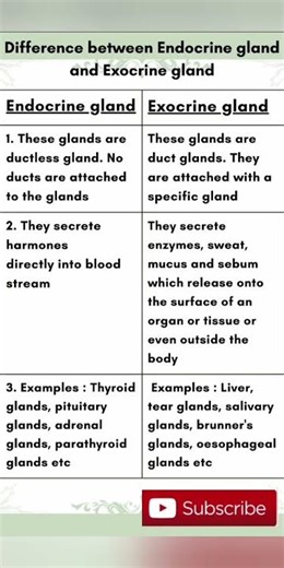#difference between Endocrine gland and Exocrine gland