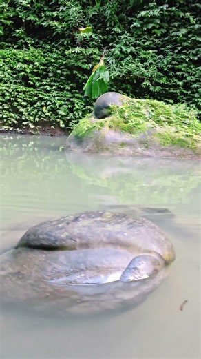 🎲😟তার ব্যর্থতাই তাকে 🎲😟🎲😟🎲😟জীবনের সঠিক পথ চলতে শেখায়🎲😟 #foryou #travelblog #travel #nature