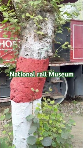 National Rail Museum #delhi #india #railway #nationalrailmuseum