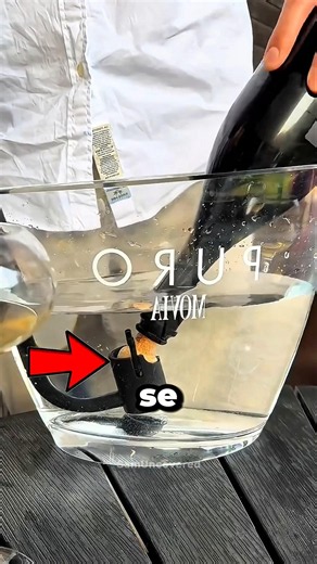¿Sabías Por Qué Los Vinos Carísimos Se Abren Bajo el Agua?
