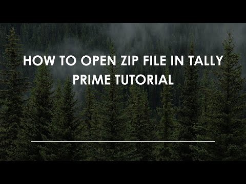 How To Open Zip File In Tally Prime Tutorial