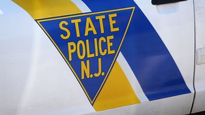 NJ state trooper breaks window to rescue dog