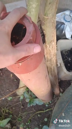 Biogas Research and Applications: A Comprehensive Guide