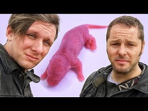 China Doesn't Want You To Know About This