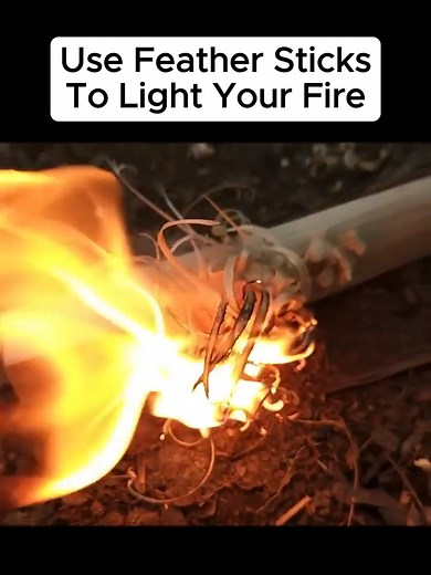 Sometimes it can be difficult to find dry tinder to light your fire. This is where feather sticks come in. A feather stick is a piece of dry wood shaved down to make fine curls which will light with a fire steel. credit: @woodsboundoutdoors #bushcraft #survivalskills #homestead #offgrid #survivaltips