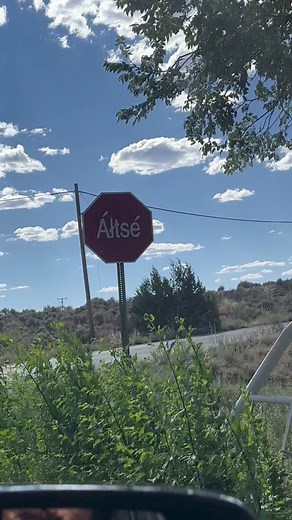 STOP in Navajo #navajonation #nativetiktok #indigenous #fyp #navajolanguage