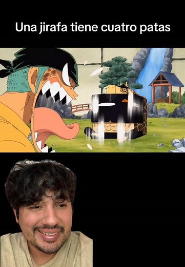 Una jirafa tiene cuatro patas — Defensa absoluta jirafa One Piece