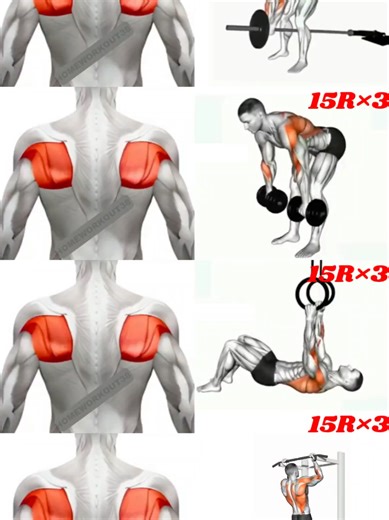 Effective Back Workout at Home Guide