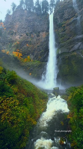 Autumn transforms Multnomah Falls into a scene straight from a dream — golden, vibrant, unforgettable. 📍Pacific Northwest 📸 @izak.photography #beautifuldestinations #pnw #nature #pacificnorthwest #waterfalls #pnwexplored #forest #waterfalllovers #discoverearth #divineforest #pnwphotographer #pnwwonderland #pnwadventures #pnwcollective #pnwhiking #pnwphotography #pnwlife | Izak Photography