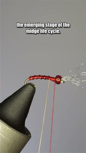 Rojo Midge | Fly Tying Tutorial