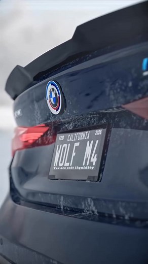1.4K views · 108 reactions | Every true wolf lover deserves the Wolf M4 — and only they will earn it. _WolF Wisdome | Wolf Wisdome | Facebook