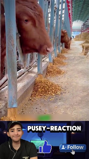 Amazing Engineering Innovations in the United States